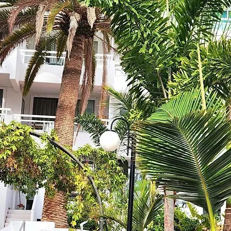 Pool Front In Americas *