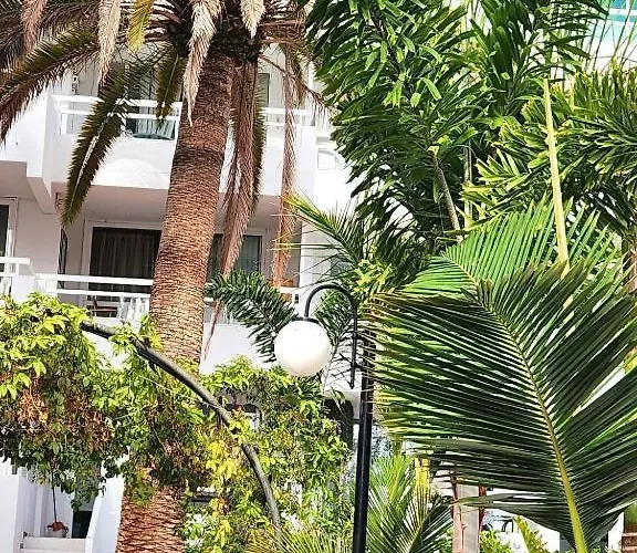 Pool Front In Americas *